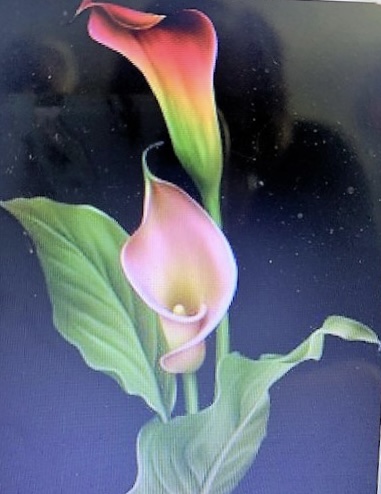 pink calla lilies 2.jpg